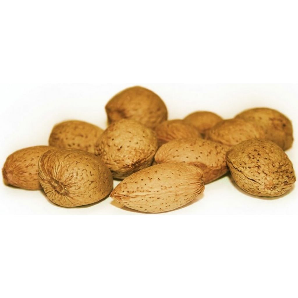 Sicilian almonds in shell - 500 gr