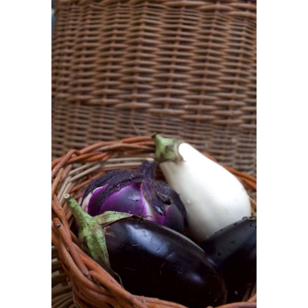 Melanzane lunghe, tonde e violette Kg 0,25