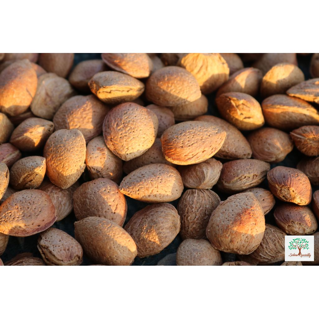 Sicilian natural sweet almonds in soft shell, 1 Kg Harvest August 2024