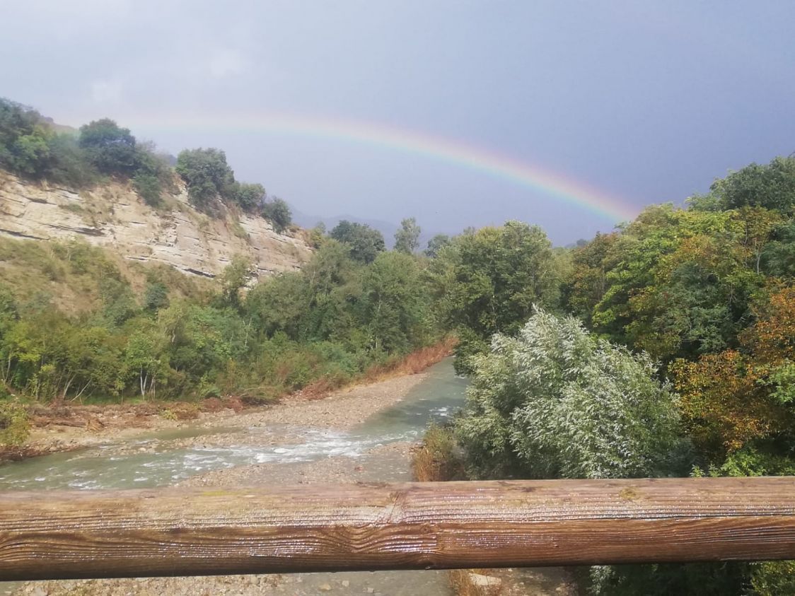 Azienda agricola La Tintoria