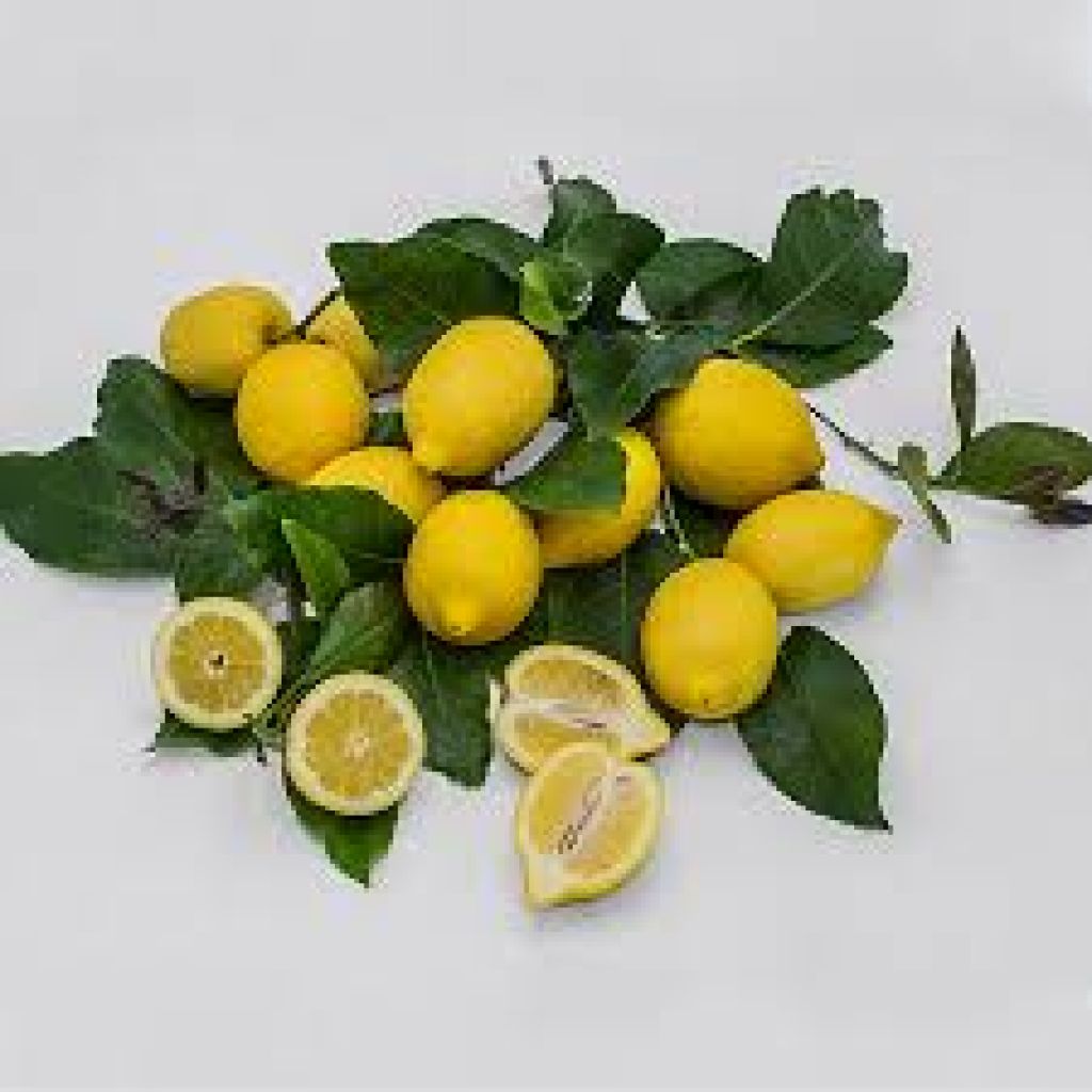 LIMONE MONACHELLO 1 Kg