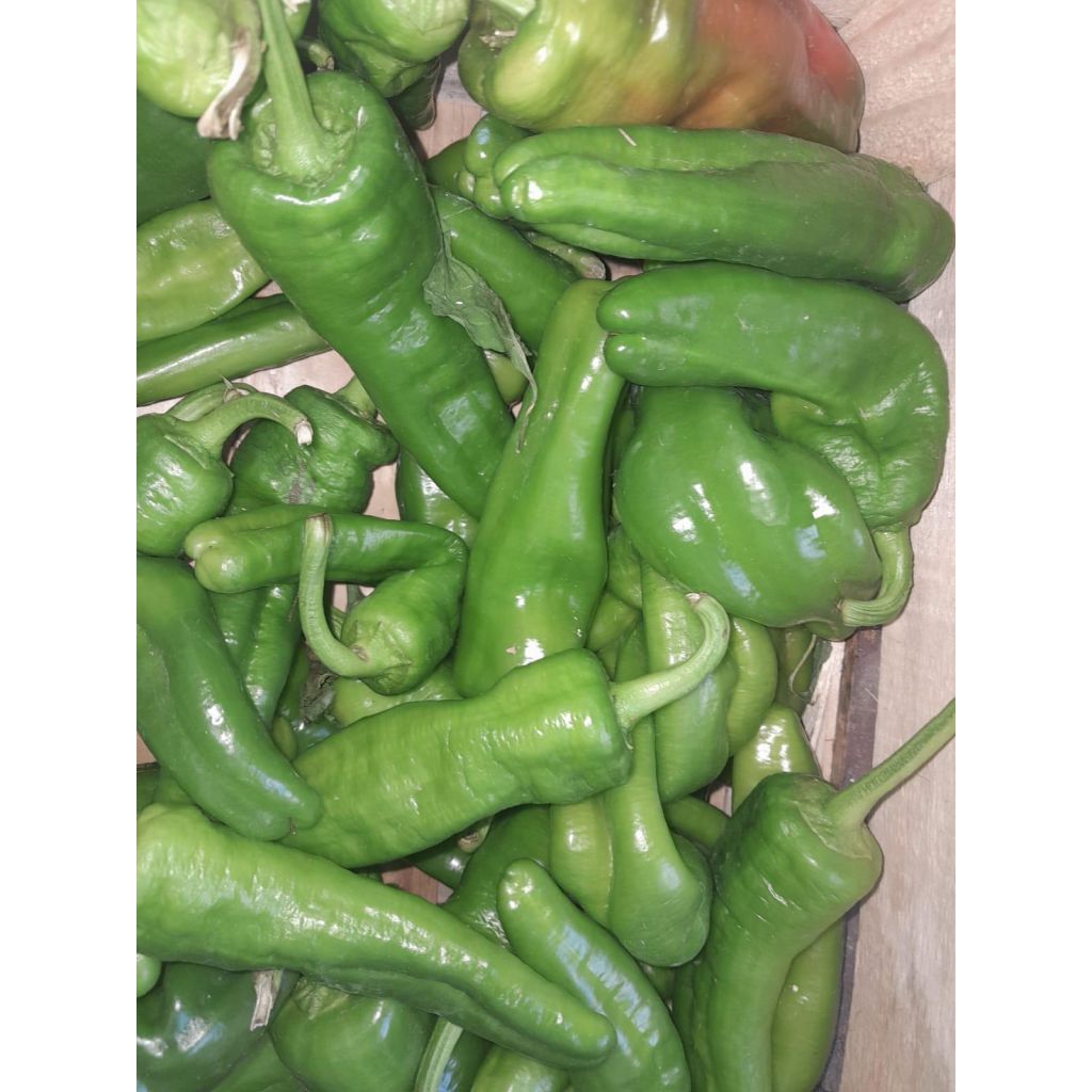 Peperoni verdi 1 kg