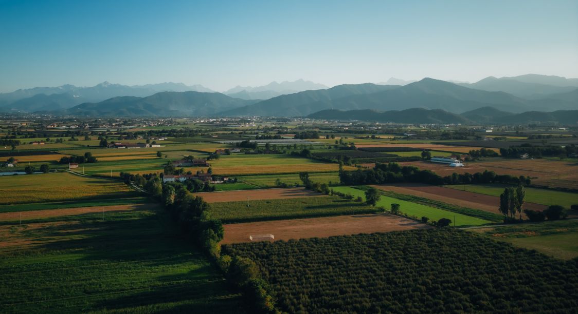 Azienda agricola Cascina Cà Granda