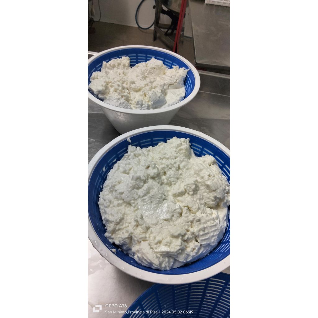 Ricotta