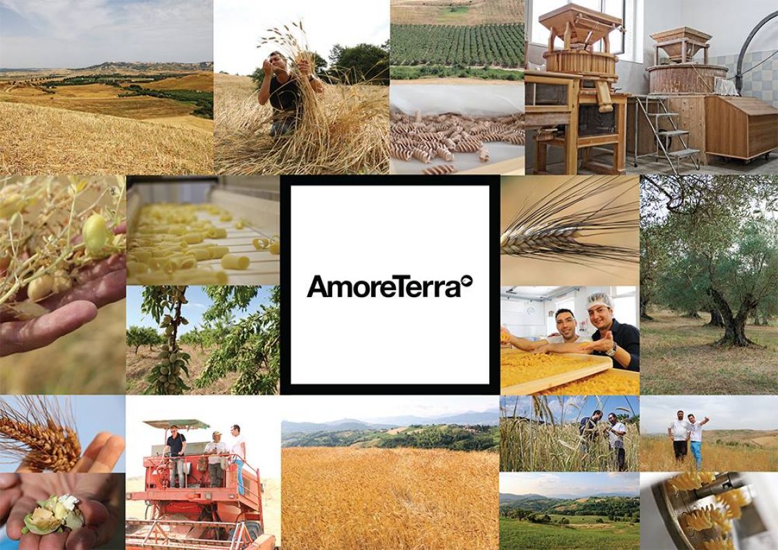 AMORETERRA SRL