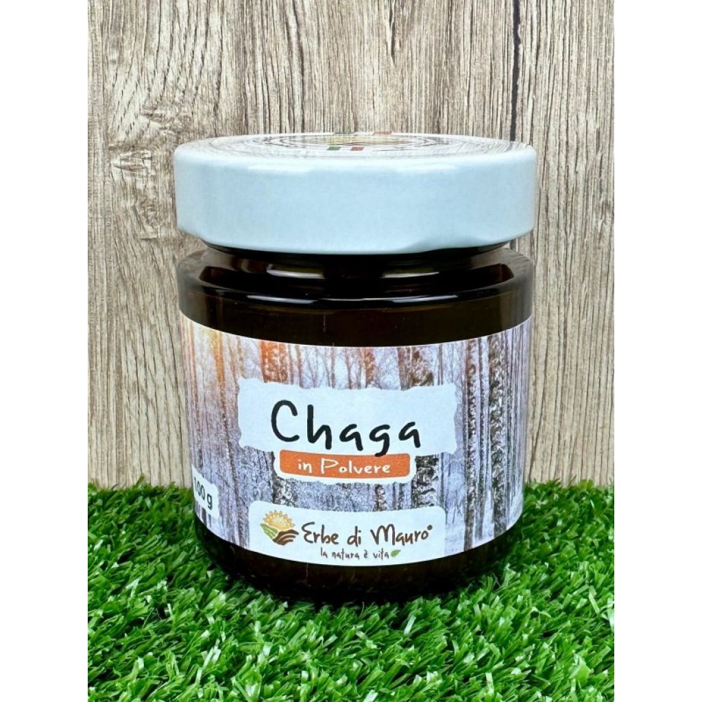 Chaga, fungo in polvere