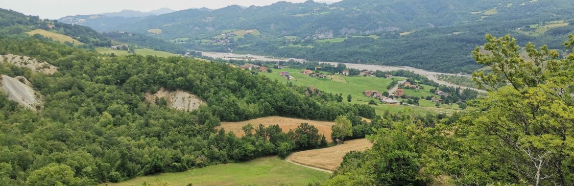 Azienda Agricola Occhi